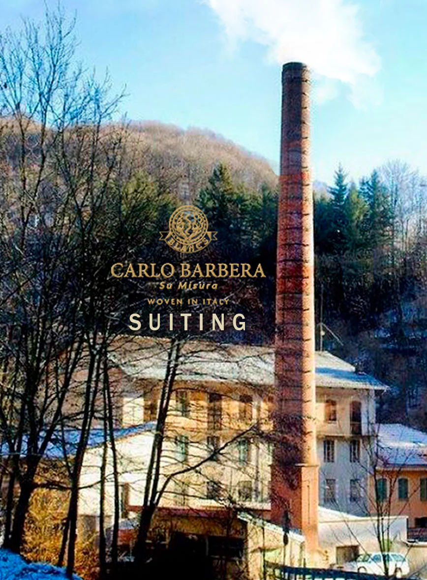 Carlo Barbera Wool Suits - Image 5