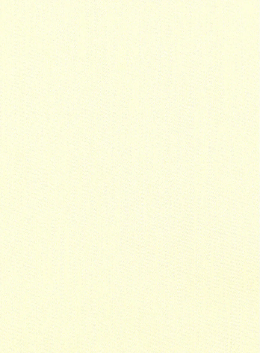 Giza Yellow Cotton Shirt - Image 4