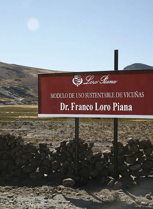 Loro Piana Esteba Wool Pants - Image 4