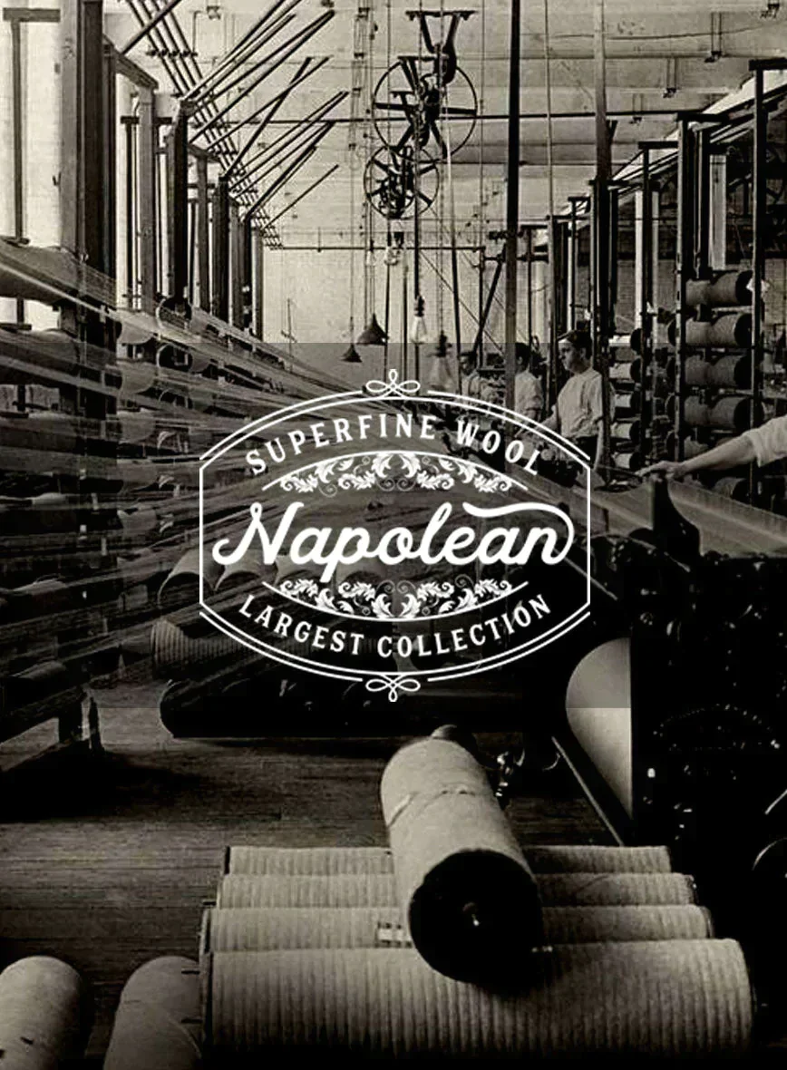 Napolean Classic English Blue Check Suit - Image 8