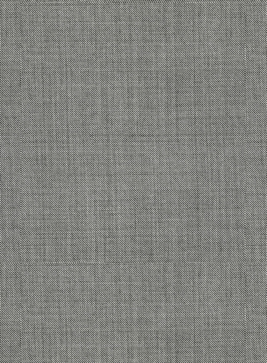 Napolean Sharkskin Light Gray Wool Double Breasted Jacket - Image 2